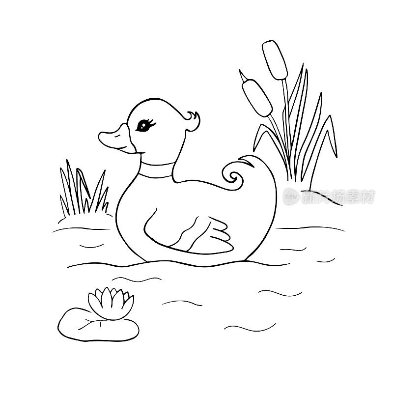 可爱的卡通鸭子在池塘里游泳为涂色页或书。黑色和白色轮廓矢量10 EPS插图的动物性格。